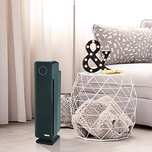 True HEPA Filter Air Purifier with UV Light Sanitizer S6948
