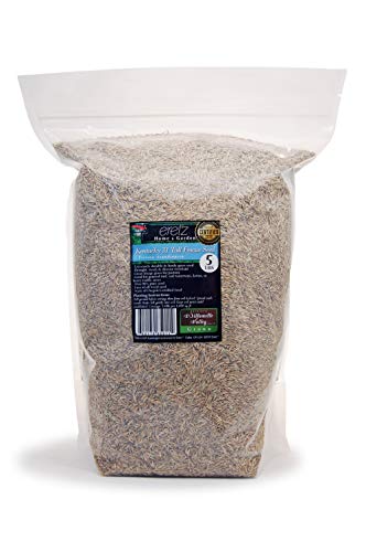 3lbs Tall Fescue Grass Seed Q505