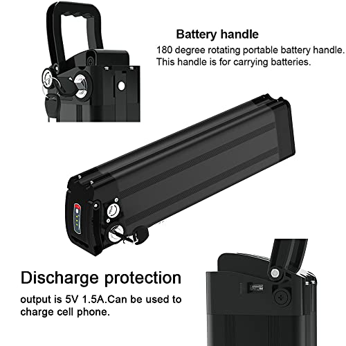 Silver Fish Lithium Ion Ebike Battery L2250
