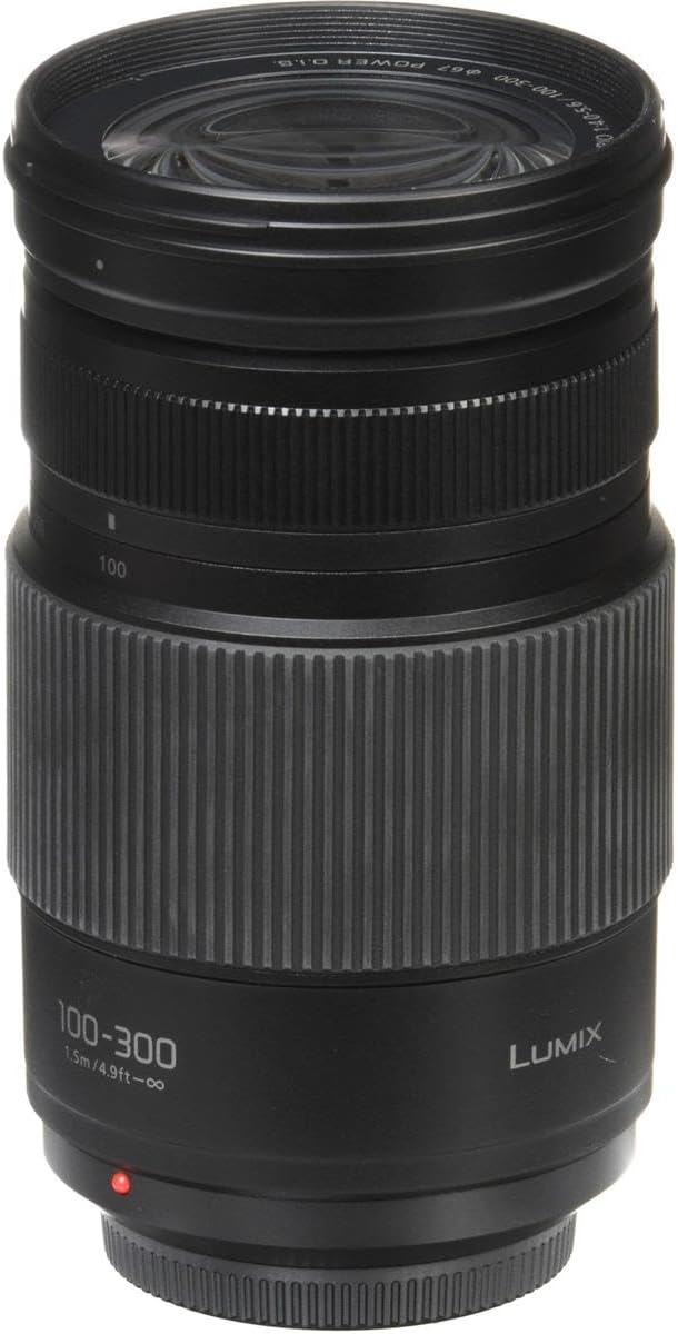 100-300MM Mirrorless Micro Four Thirds Lens Y1801