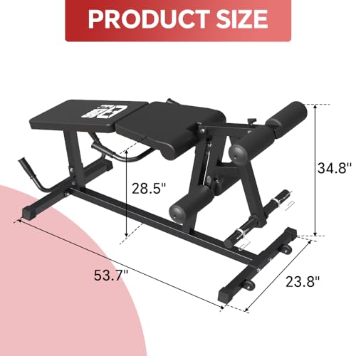 Leg Extension and Leg Curl Machine O1986
