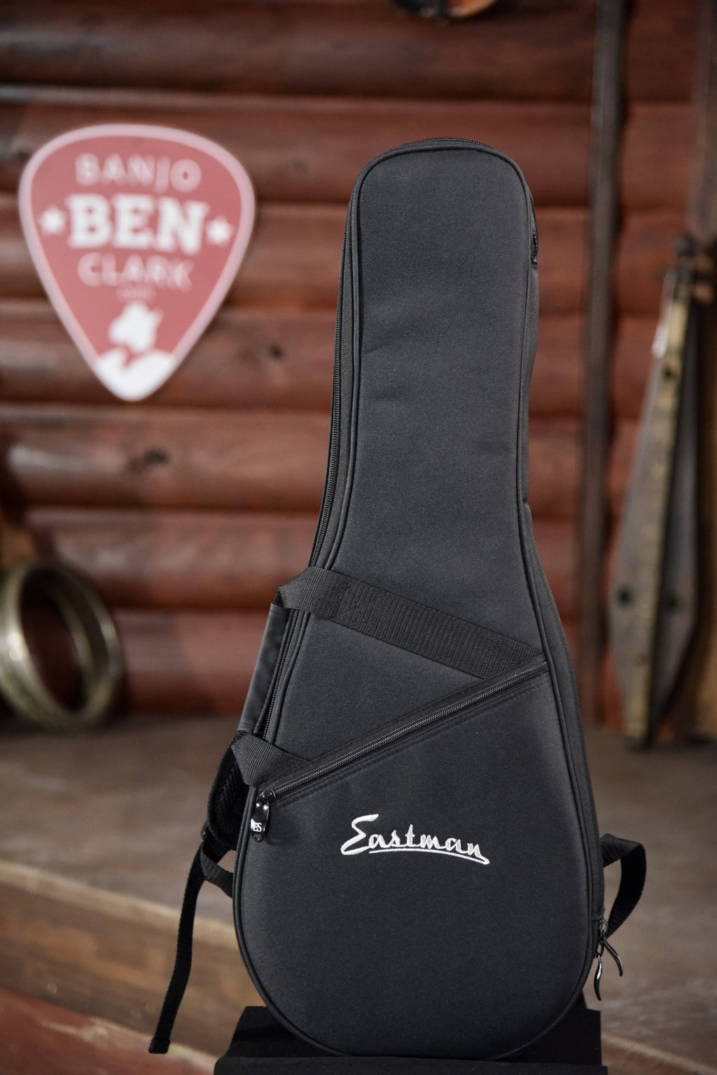 A Style Mandolin I5538