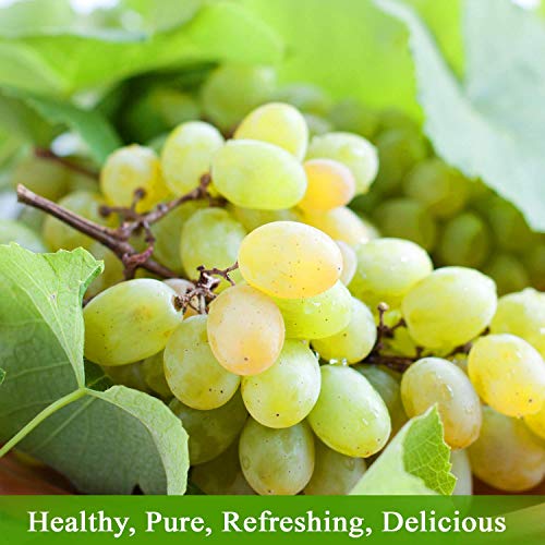 100% Organic Red Grape Juice, 25.4 Oz Glass Bottle (Pack of 2) P228699