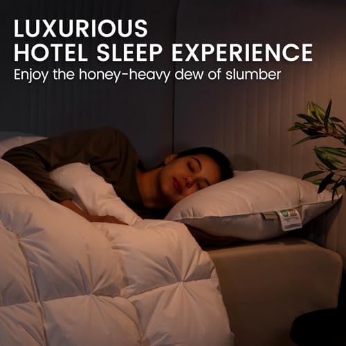 Goose Feather Down Pillows Queen Size Set of 2 with 600TC 100% Cotton Cover L3061