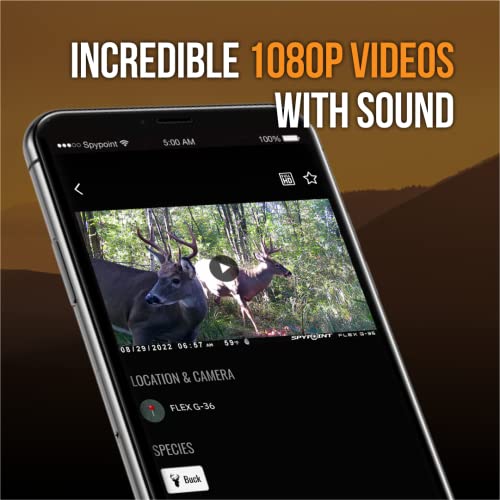 36MP Cellular Trail Camera with 1080p Video and GPS G438