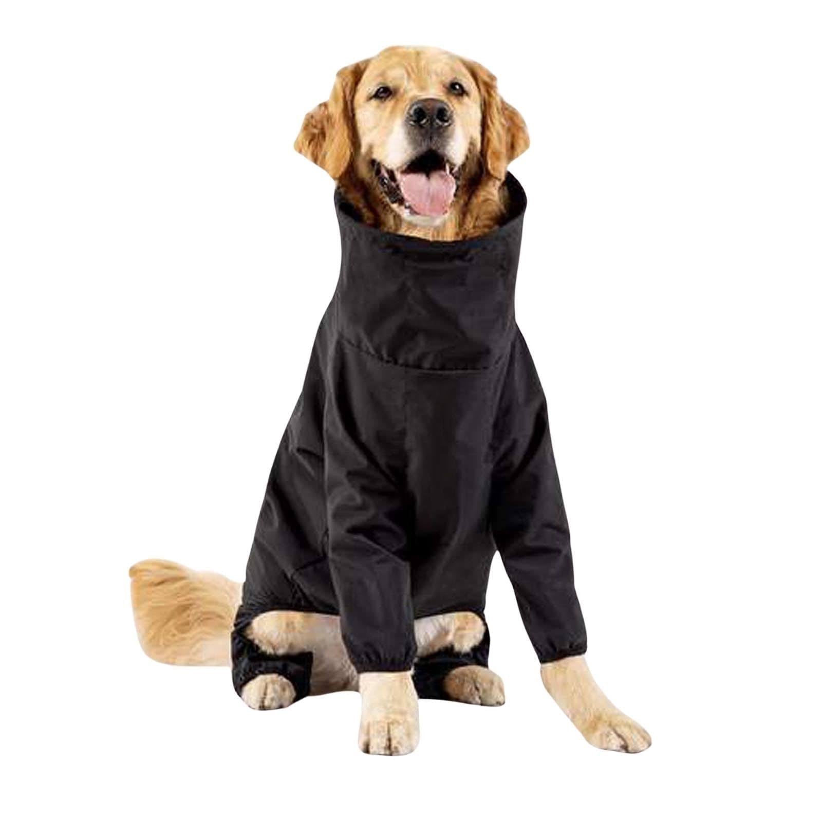 Black Dog Suit X498