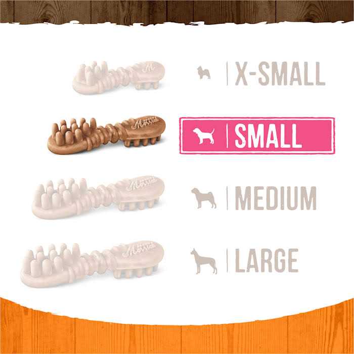 Fresh Kisses Pumpkin Cinnamon Dog Treats M29575