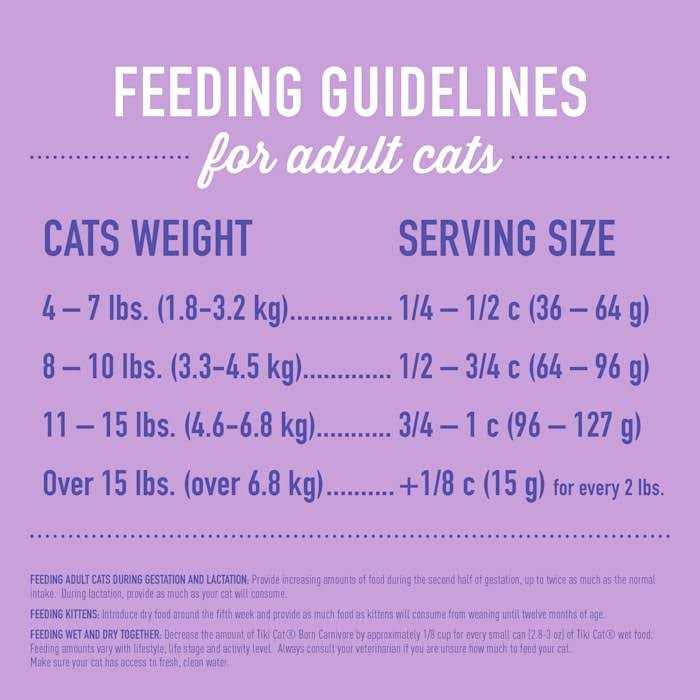 Turkey Light Dry Cat Food P236
