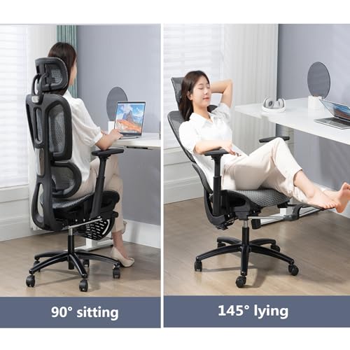 Ergonomic Mesh Swivel High Back Office Chair with Lumbar Support Adjustable Headrest O656794