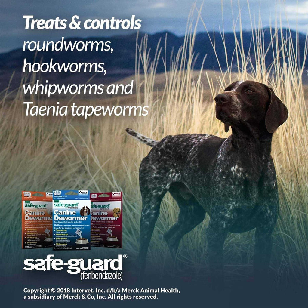 Safe-Guard Canine Dewormer I97530