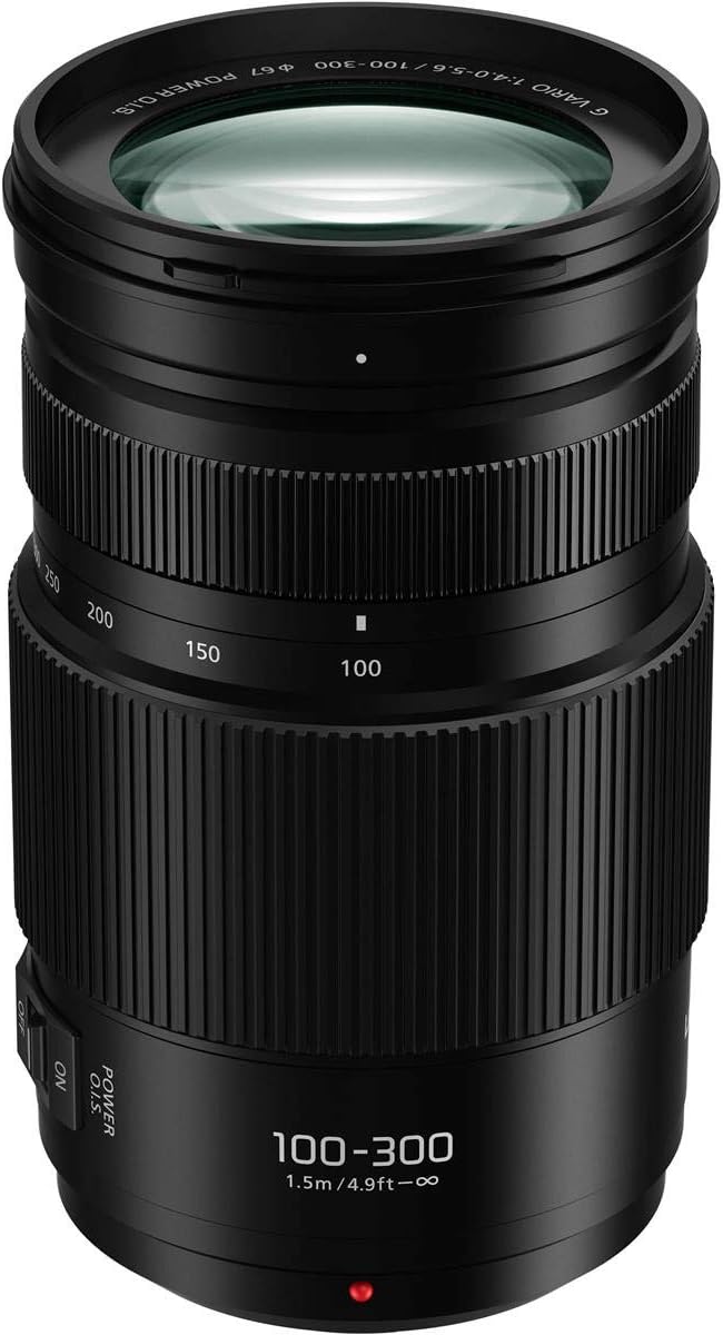100-300MM Mirrorless Micro Four Thirds Lens Y1801