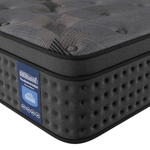 10 Inch Hybrid Queen Mattress with Memory Foam & Pocket Spring O908083
