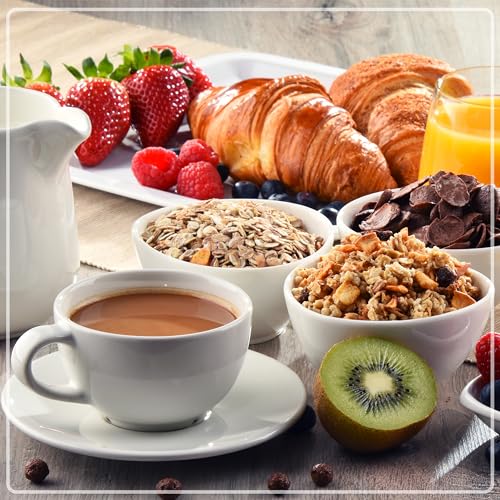 12-Cup Programmable Coffee Maker H6712
