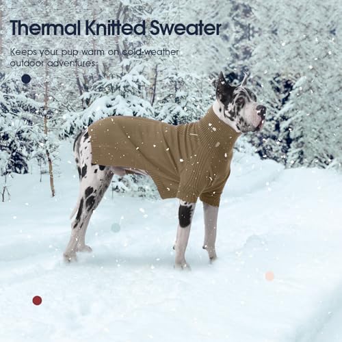 Green XXL Dog Sweater V856