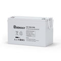 12 Volt 100Ah Deep Cycle AGM Battery N26156