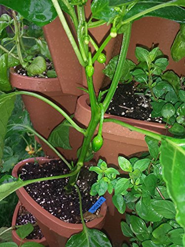 Vertical Gardening Stackable Planters R7792
