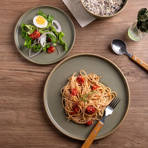 Stoneware Dinner Plates Set of 4, 10.25 Inch Reactive Matte Glaze Ceramic Plates Z272