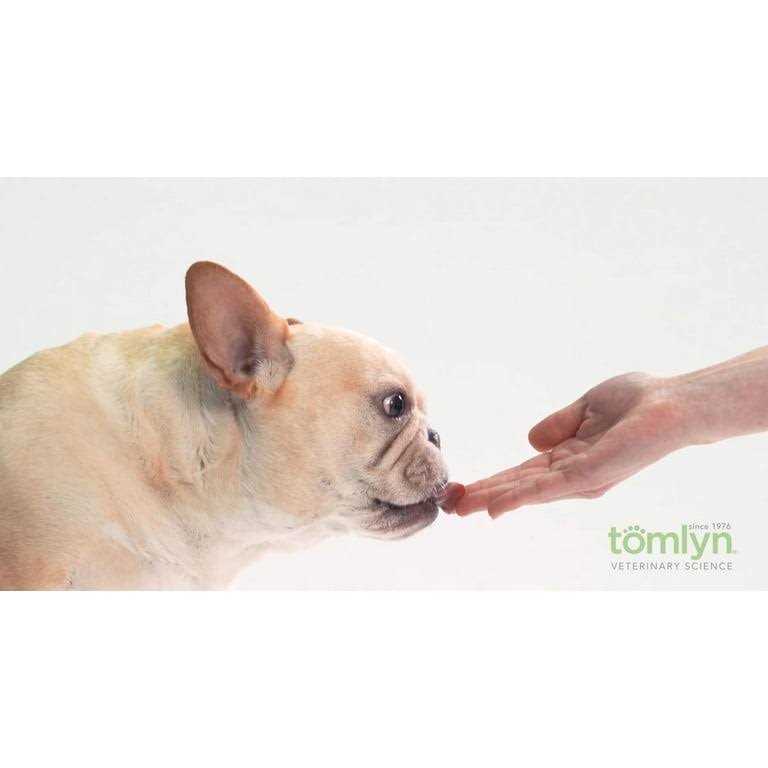High Calorie Nutritional Gel for Dogs E951502
