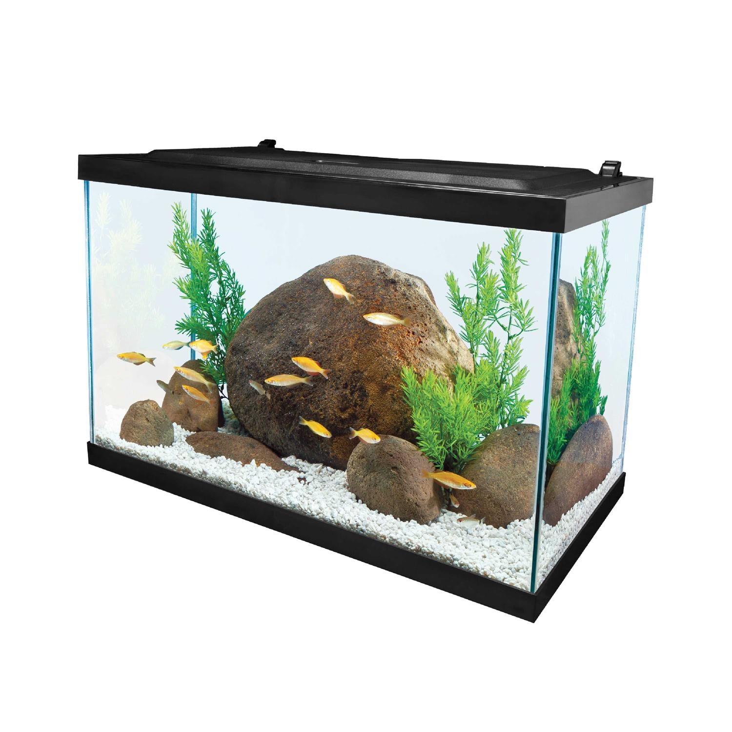 20 Gallon Glass LED Aquarium Kit Z642