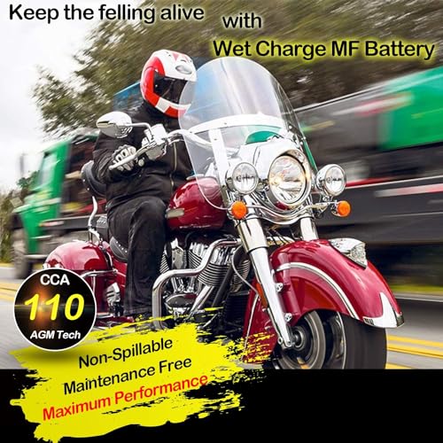 Sealed AGM Motorcycle Battery L4448