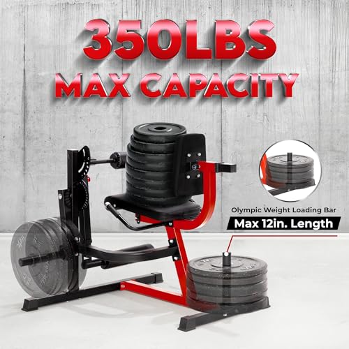 Adjustable Leg Extension and Curl Machine with Plate Loaded Q4137