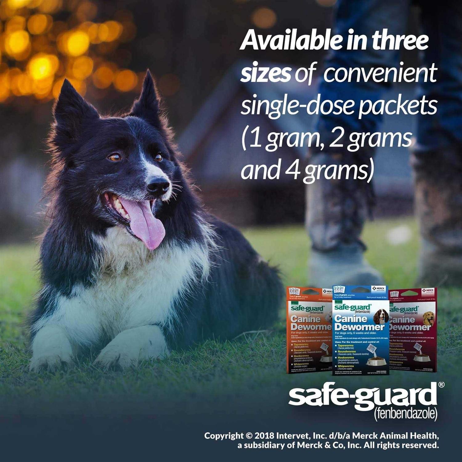 Safe-Guard Canine Dewormer I97530