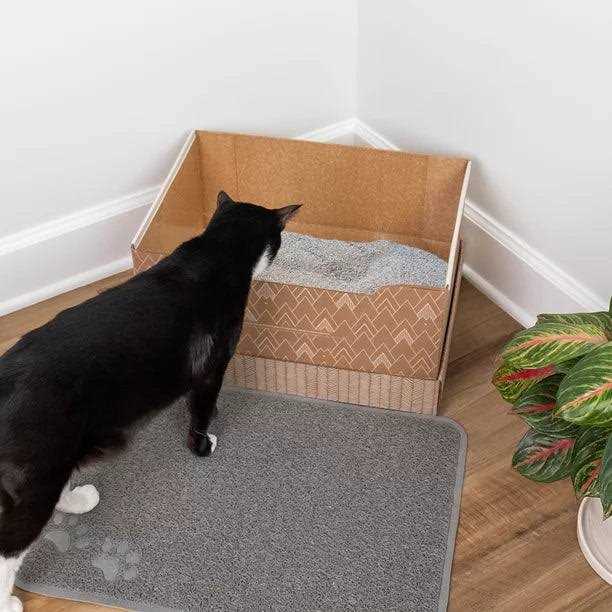 Recyclable Cat Litter Box with Clay Litter Z61629