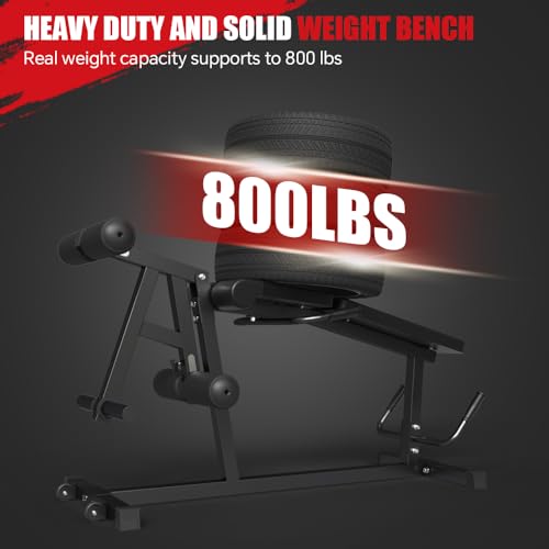 Leg Extension and Leg Curl Machine O1986