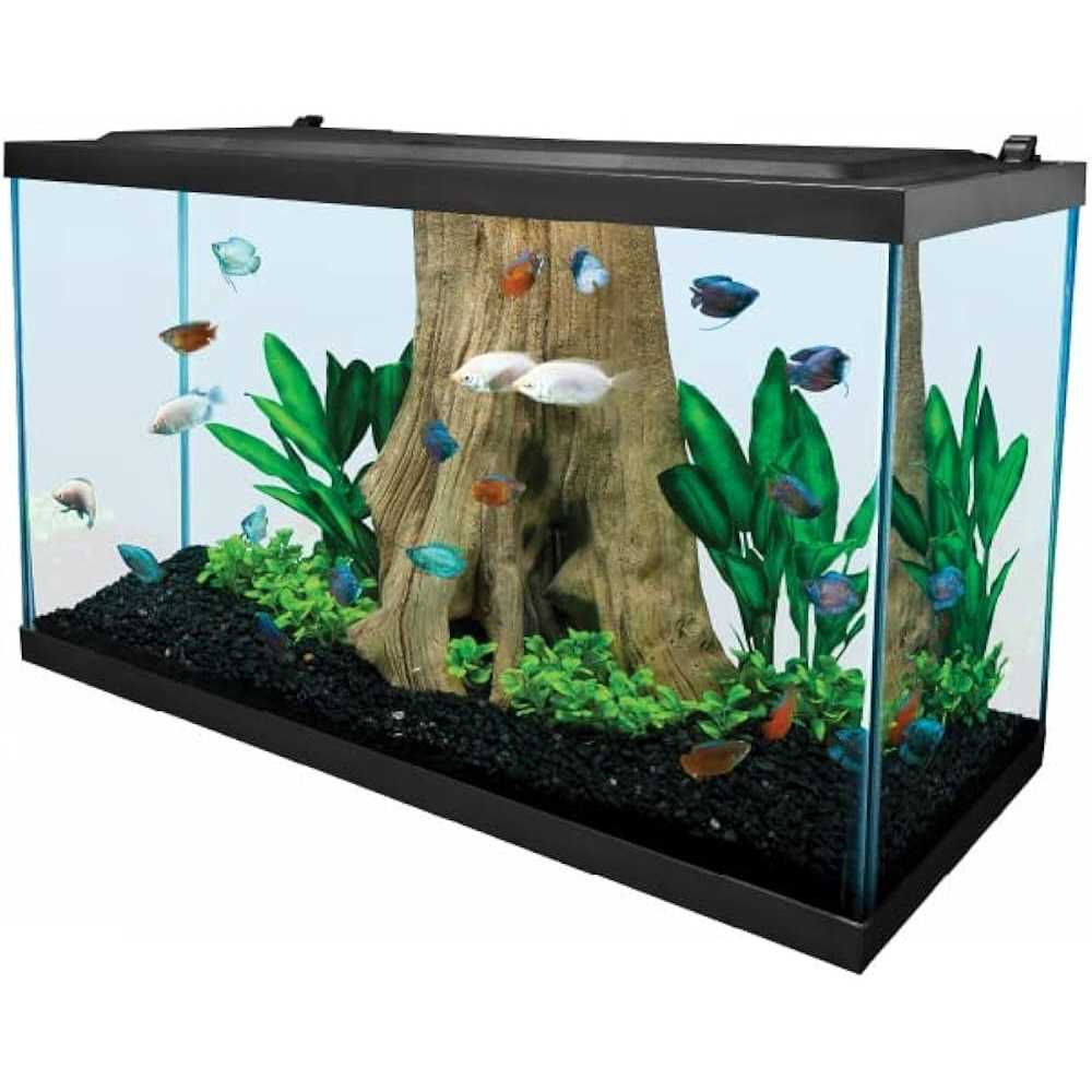 29 Gallon Glass LED Aquarium Kit O515