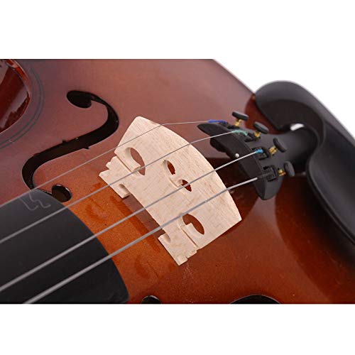 Pink Solid Wood Acoustic Violin Set with Case, Bow, Rosin N5766