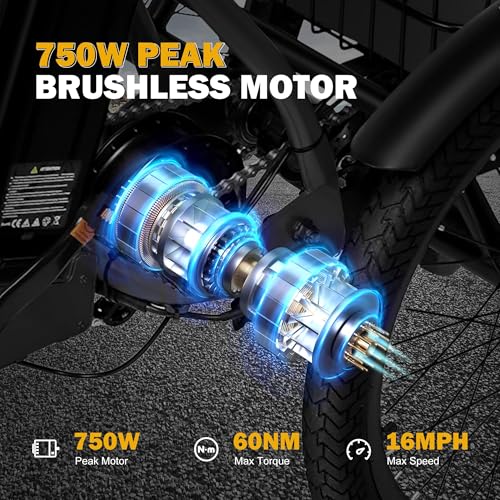 Peak 750W Brushless Motor Folding Trike Ebike with 468Wh Removable Battery Q868669