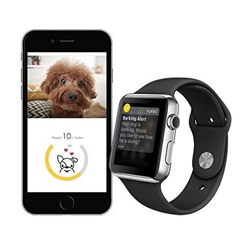 Dog Camera Z41636