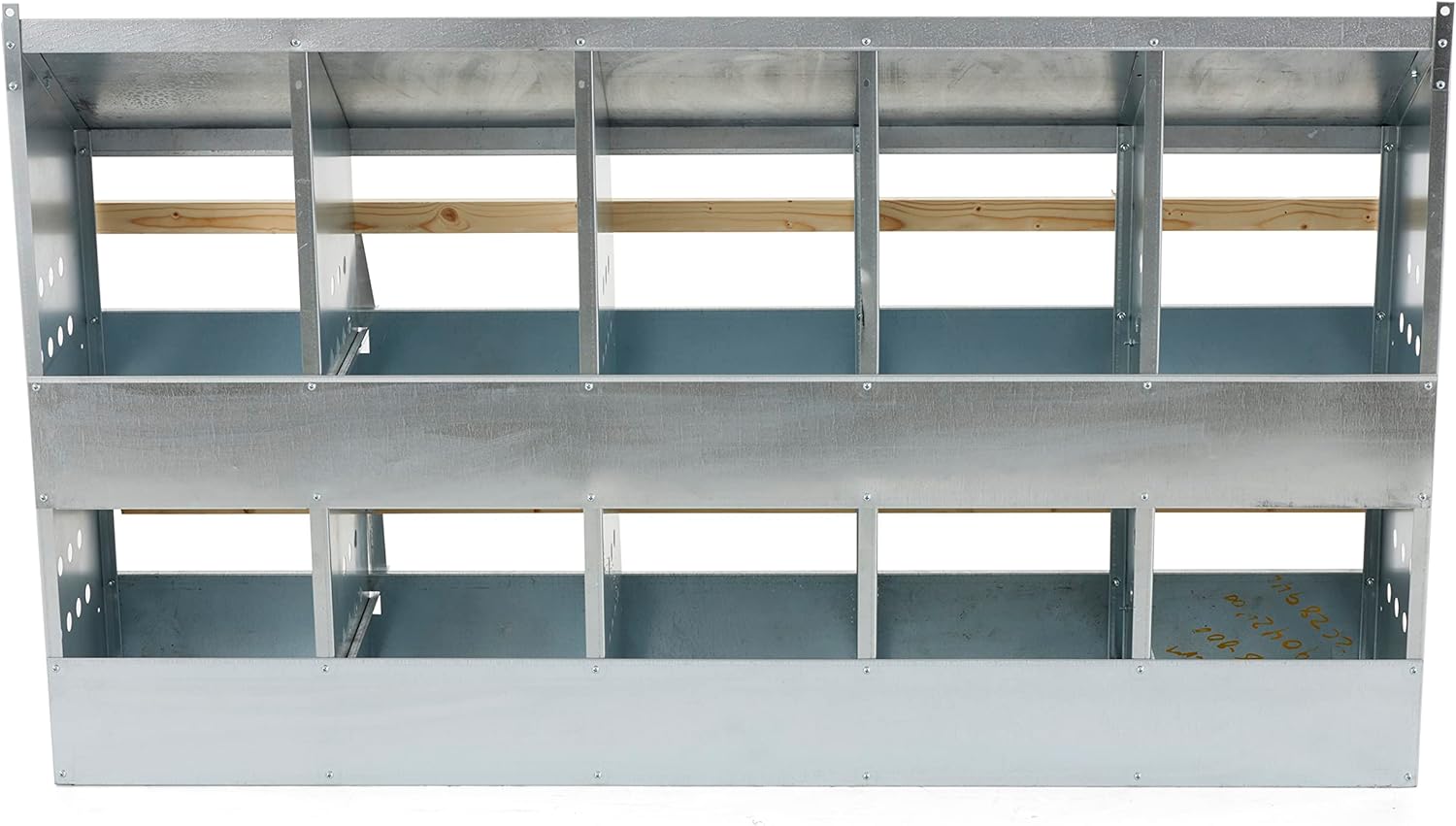 Galvanized Steel 10 Hole 50 Bird Chicken Brooding Box (4 Pack) N9029