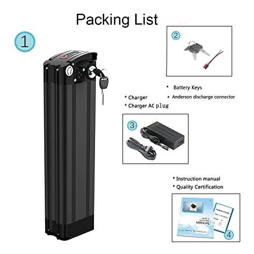 Silver Fish Lithium Ion Ebike Battery L2250
