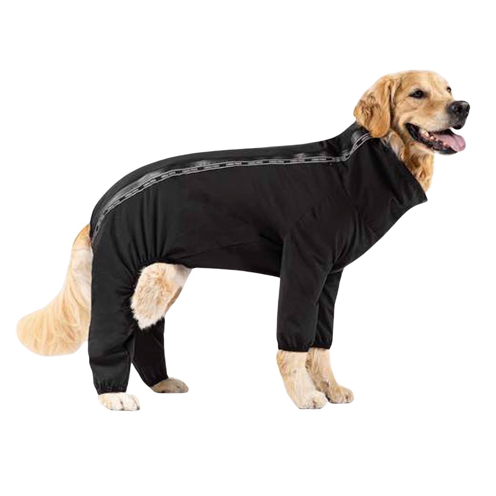 Black Dog Suit X498