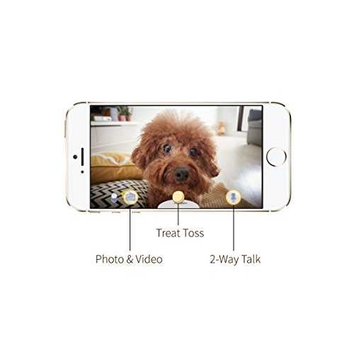 Dog Camera Z41636