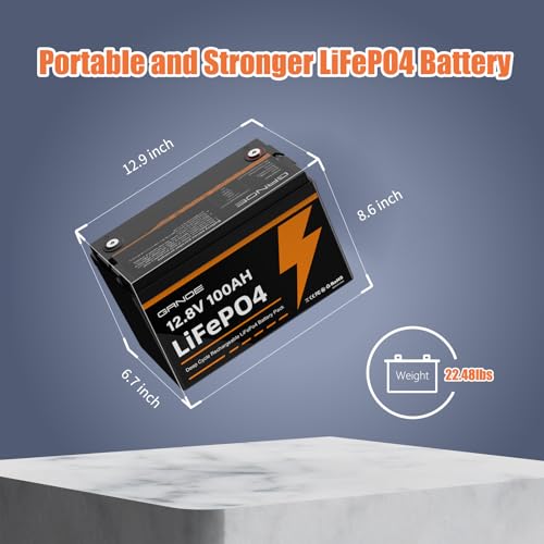 12V 100Ah LiFePO4 Group 31 Lithium Battery with Built-in 100A BMS S7087