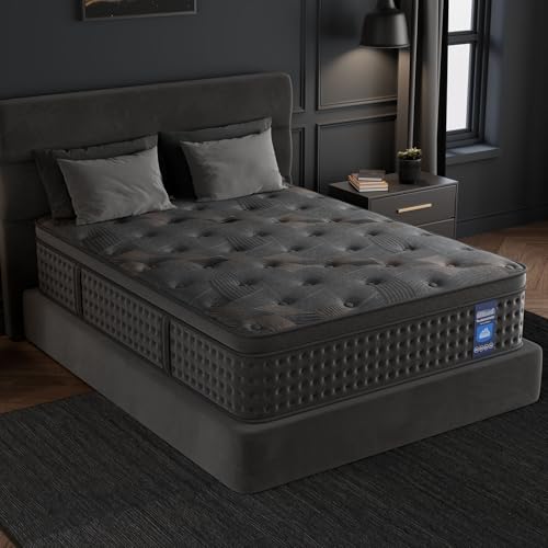 10 Inch Hybrid Queen Mattress with Memory Foam & Pocket Spring O908083
