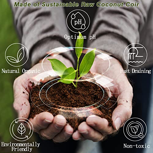 8 Pcs Organic Coco Coir Bricks I7176