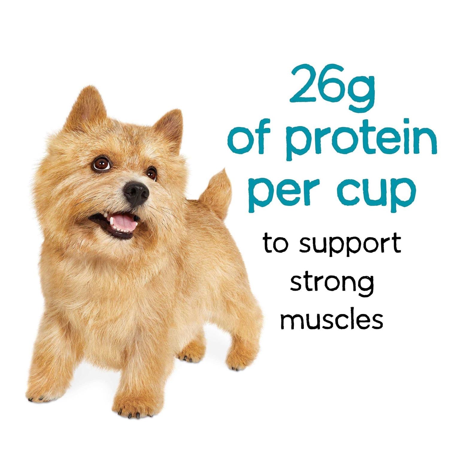 Beef Dry Dog Food E635242