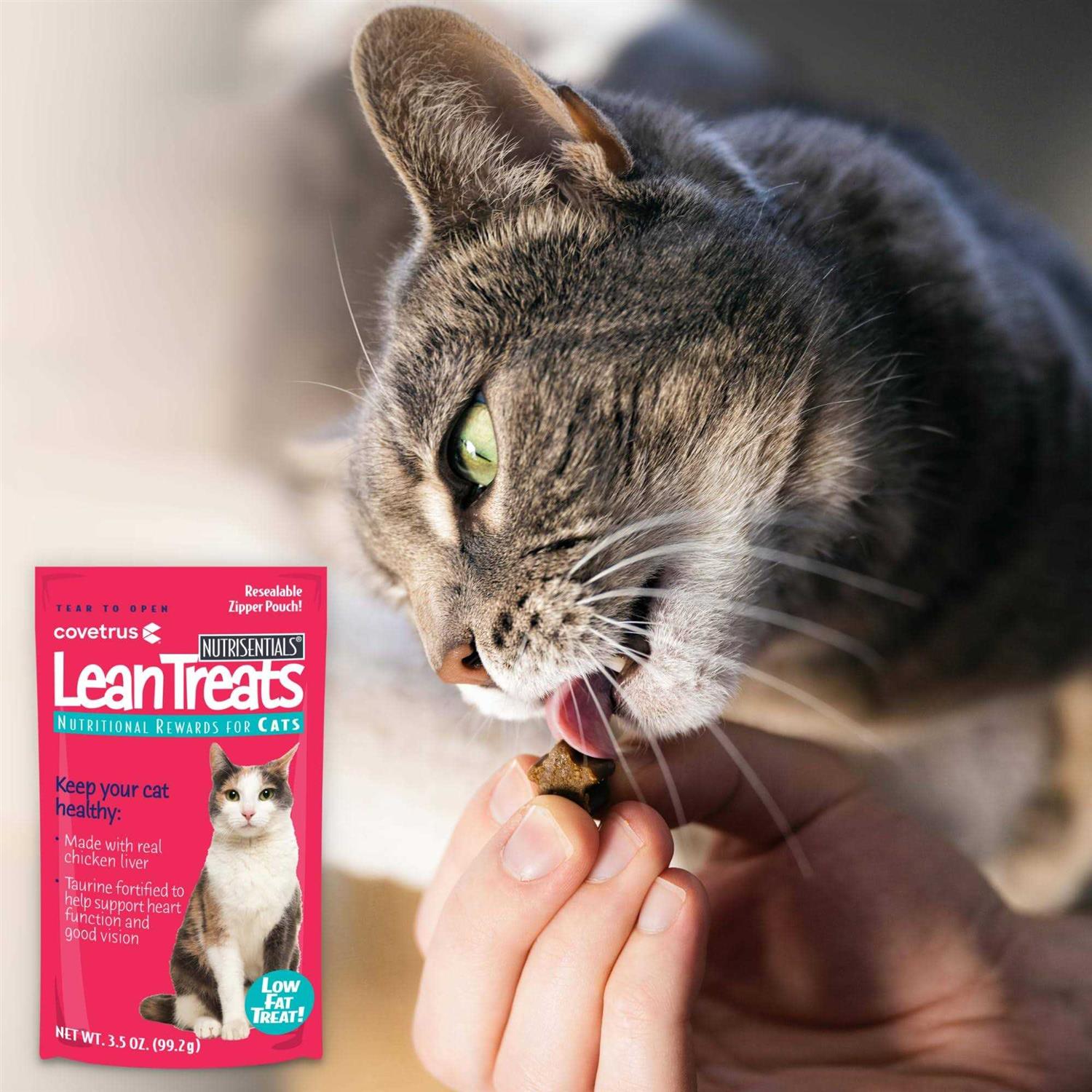 Lean Treats for Cats Soft Cat Treats P79651
