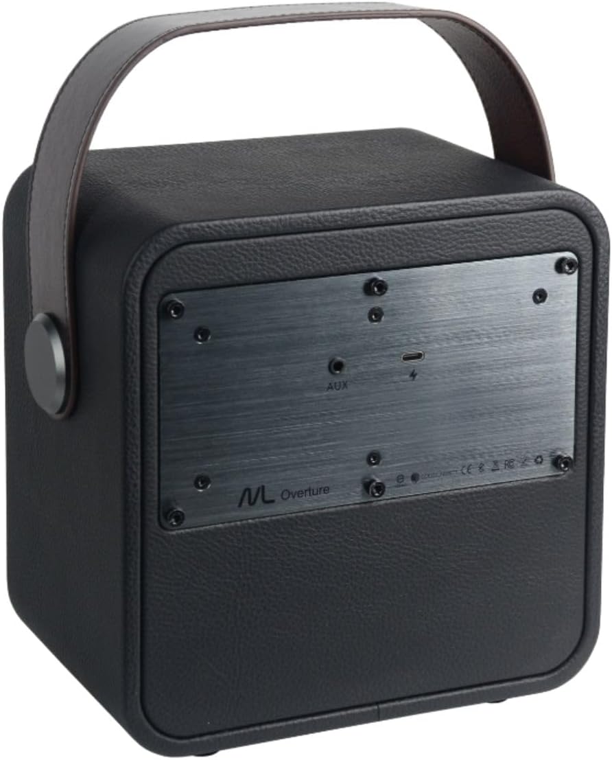 Portable Bluetooth Speaker with 80W Stereo Sound, Deep Bass, 20H Playtime, Bluetooth 5.3 TWS Pairing D951