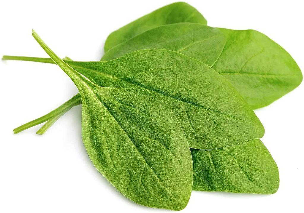 Dehydrated Spinach Flakes 8 oz No. 10 Can D899051