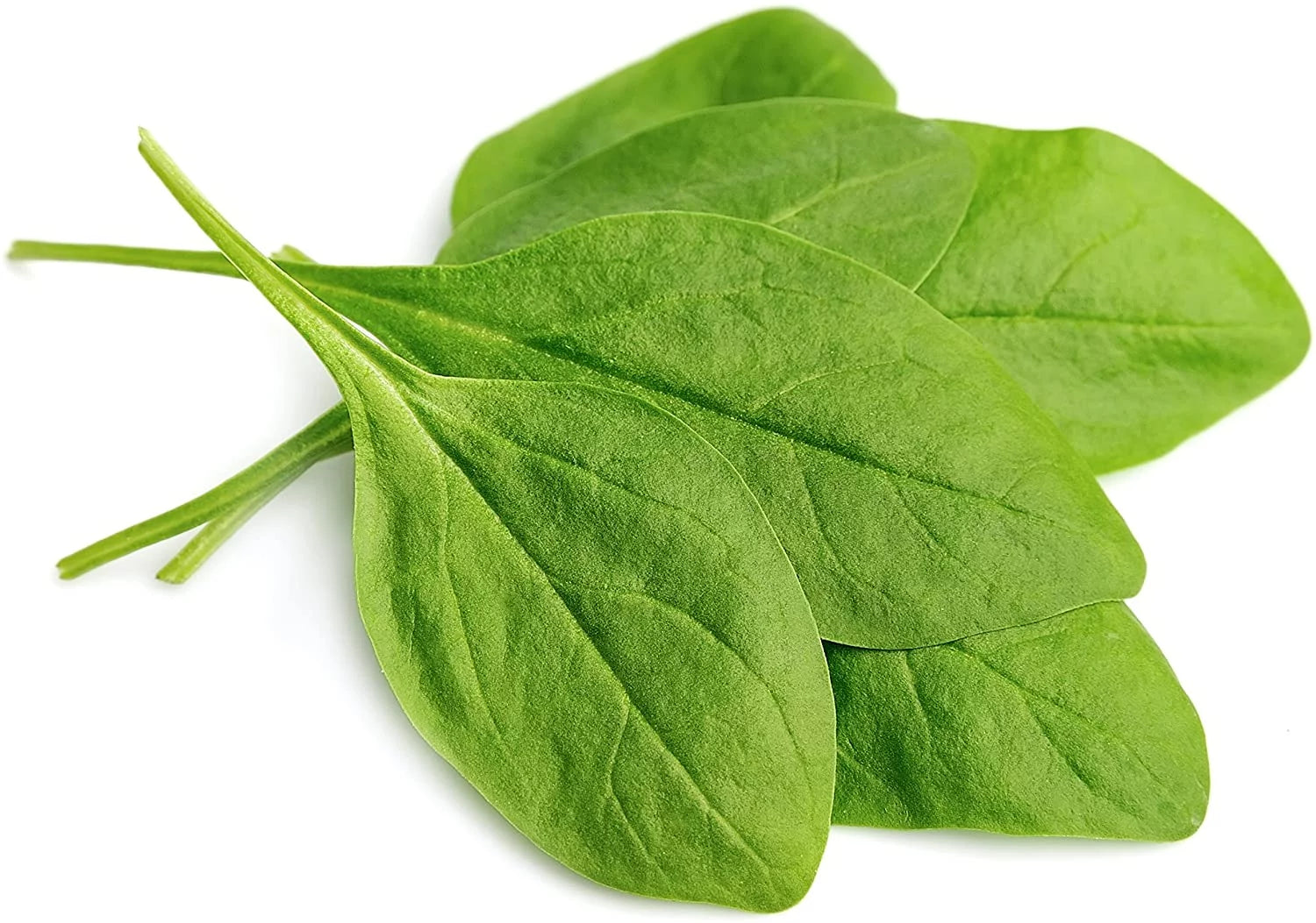 Dehydrated Spinach Flakes 8 oz No. 10 Can D899051