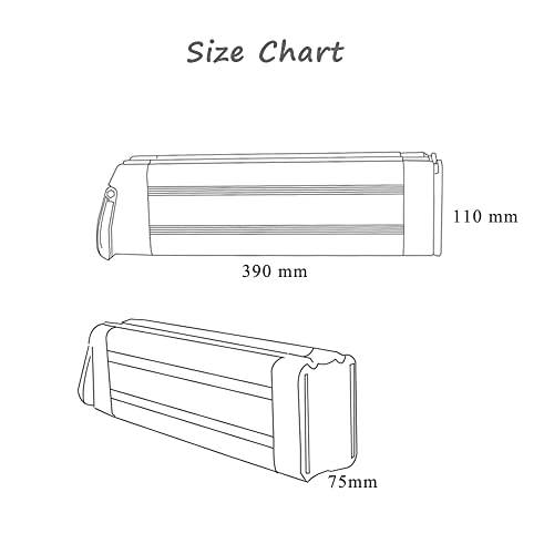 Silver Fish Lithium Ion Ebike Battery L2250
