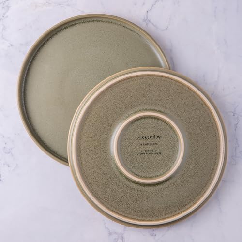Stoneware Dinner Plates Set of 4, 10.25 Inch Reactive Matte Glaze Ceramic Plates Z272