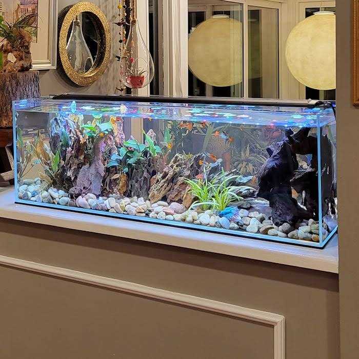 Crystal Bookshelf Aquarium P350324
