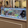 Crystal Bookshelf Aquarium P350324