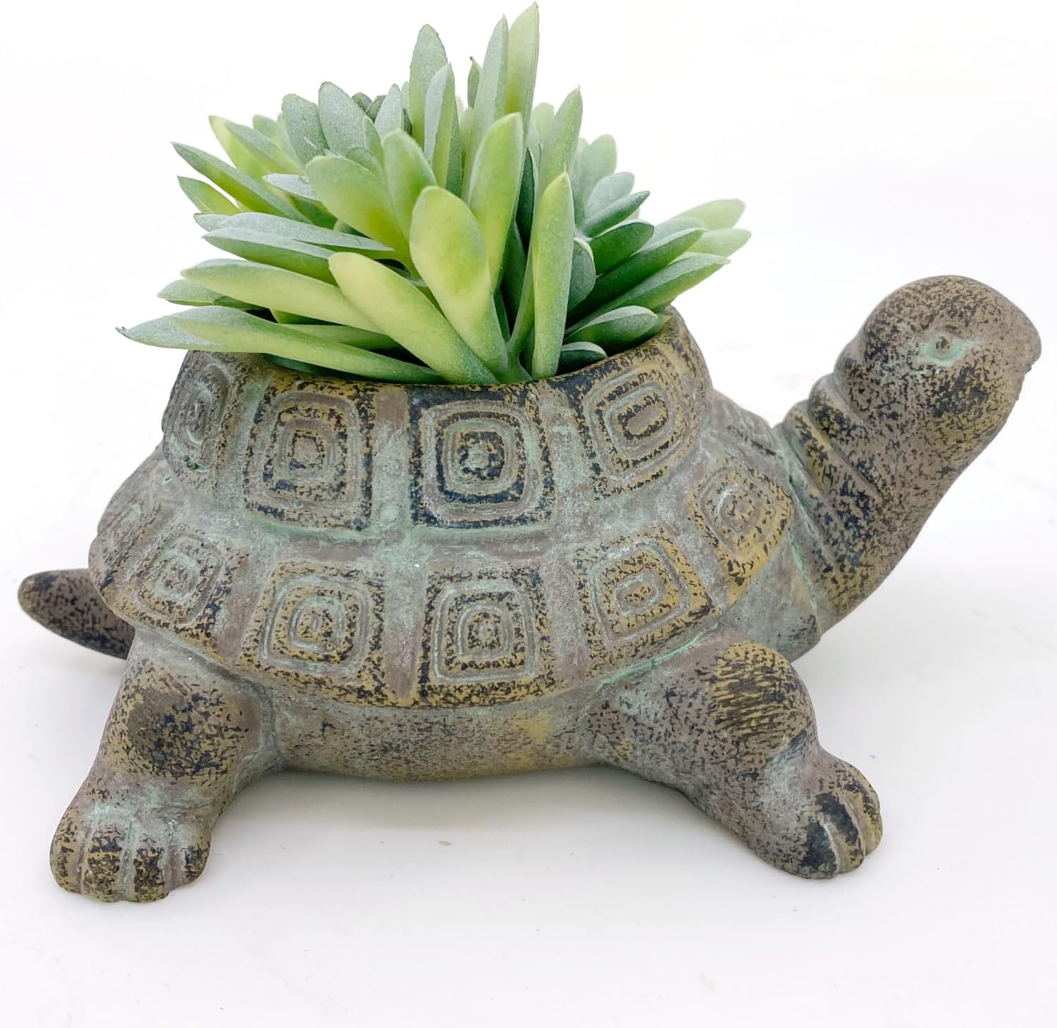 Small Cement Planter B1456