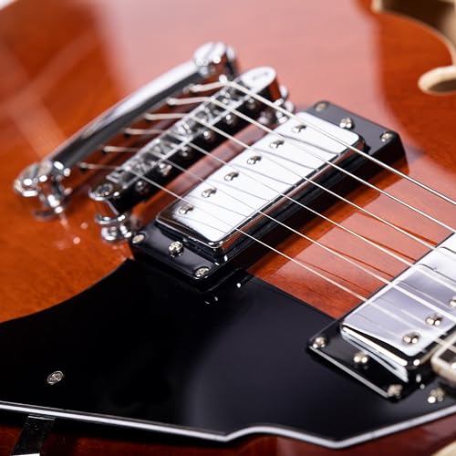 Brown Semi-Hollow Body Electric Guitar with F-Hole D49477